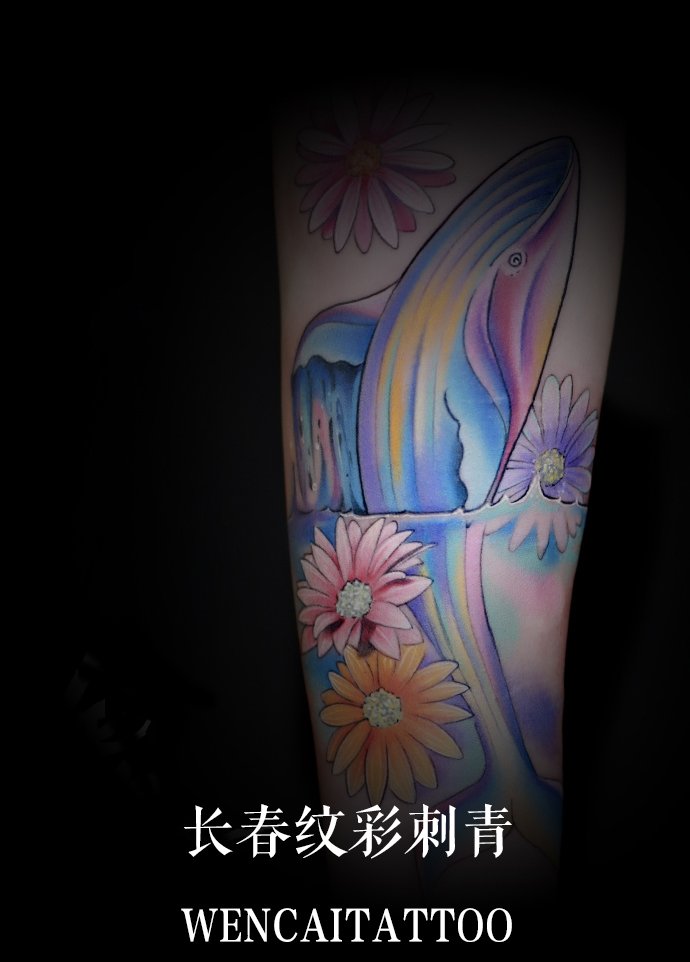 程小姐小腿彩色鲸鱼纹身图案