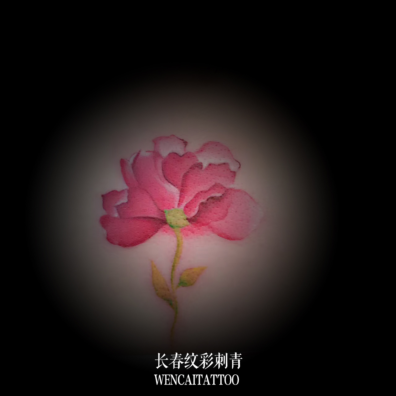 长春美丽的甘小姐后背粉嫩小花纹身图案