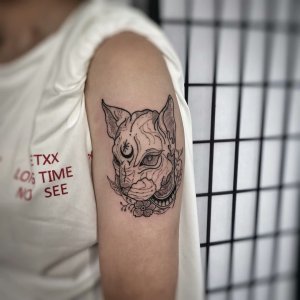 大臂可爱帅气的斯芬克斯猫纹身图案